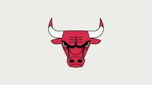 Chicago Bulls throwback shirt