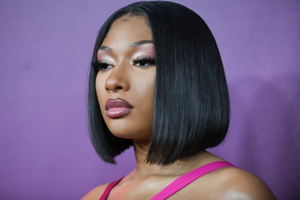 megan thee stallion net worth